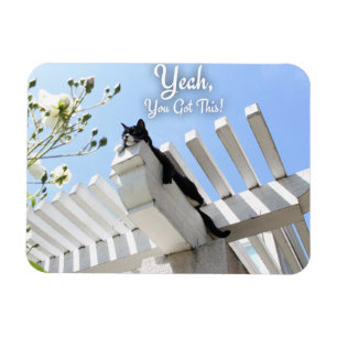 Magnet Flexible Vous Avez Ce Slogan Motivationnel De Chat