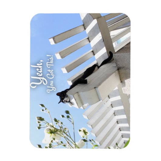 Magnet Flexible Vous Avez Ce Slogan Motivationnel De Chat (Vertical)