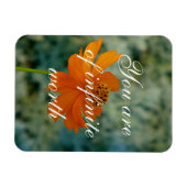 Magnet Flexible vous avez une valeur infinie (Horizontal)