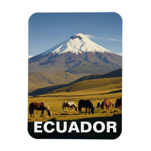 Magnet Flexible Voyage dans le parc national de Cotopaxi en Équate