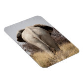 Magnet Flexible Vue arrière de l'éléphant (Côté Droit)