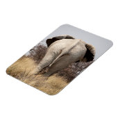 Magnet Flexible Vue arrière de l'éléphant (Côté Gauche)