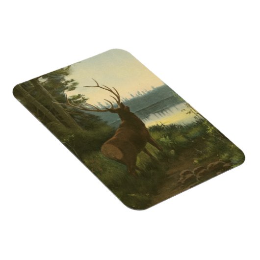 Magnet Flexible Vue arrière du lac Elk Vue sur un lac (Côté Droit)