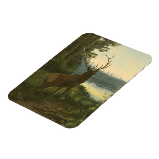 Magnet Flexible Vue arrière du lac Elk Vue sur un lac (Côté Gauche)
