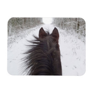 Magnet Flexible Vue de la pente du Cheval Noir, route bordée d'arb