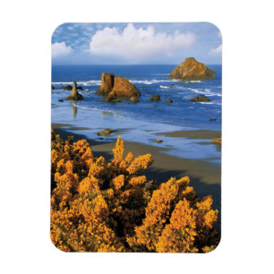 Magnet Flexible Vue de la plage de l'Oregon à Bandon