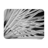 Magnet Flexible Vue noir et blanc sur les frondes de palmiers (Horizontal)