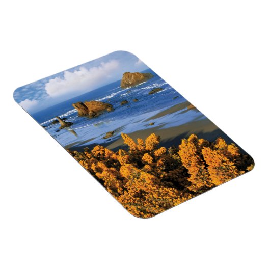 Magnet Flexible Vue Plage De L'Oregon À Bandon (Côté Droit)