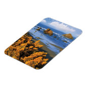 Magnet Flexible Vue Plage De L'Oregon À Bandon (Côté Gauche)