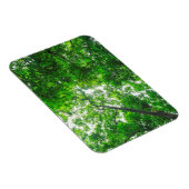 Magnet Flexible Vue vers le haut des arbres (Côté Droit)