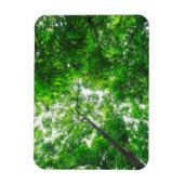 Magnet Flexible Vue vers le haut des arbres (Vertical)