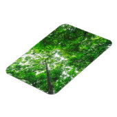 Magnet Flexible Vue vers le haut des arbres (Côté Gauche)