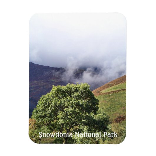 MAGNET FLEXIBLE VUES DES ALLES (Vertical)