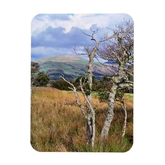 MAGNET FLEXIBLE VUES DES ALLES (Vertical)