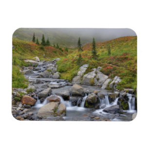 Magnet Flexible WA, Parc national du mont Rainier, Edith Creek