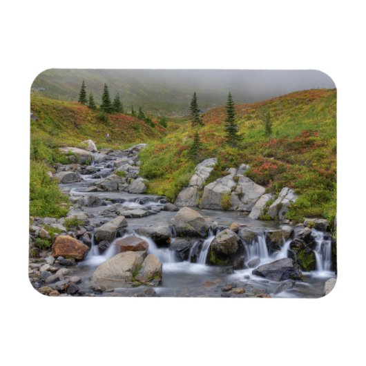 Magnet Flexible WA, Parc national du Mont-Rainier, ruisseau Edith (Horizontal)