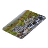 Magnet Flexible WA, Parc national du Mont-Rainier, ruisseau Edith (Côté Gauche)