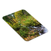 Magnet Flexible Wahkeena Falls, gorge de Columbia, Oregon (Côté Droit)