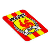 Magnet Flexible Wallonië (Côté Droit)