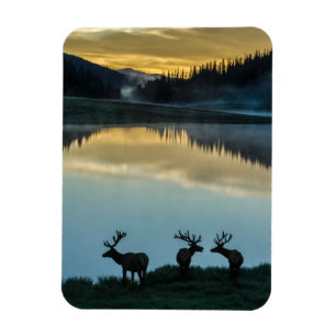 Magnet Flexible Wandschopfhirsche vor Poudre Lake bei Sonnenaufgan