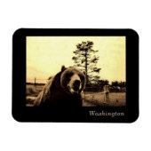 Magnet Flexible Washington (Horizontal)