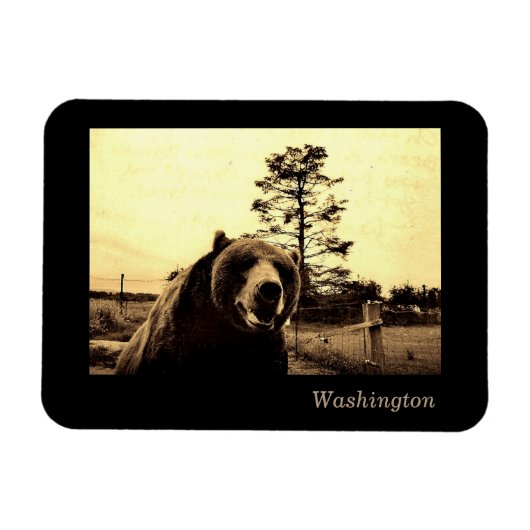 Magnet Flexible Washington (Horizontal)