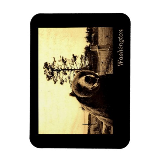 Magnet Flexible Washington (Vertical)