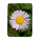 Magnet Flexible Washington, Cascade Range, Mont Baker (Vertical)