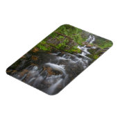 Magnet Flexible Washington, Parc national du Mont Rainier 2 (Côté Gauche)