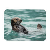 Magnet Flexible Watching Sea Otter (Horizontal)