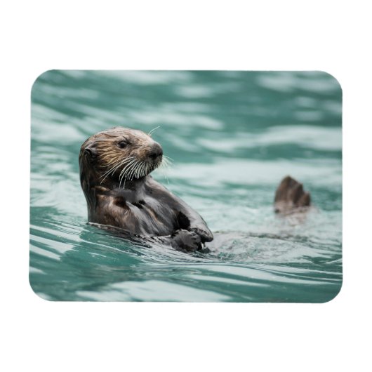 Magnet Flexible Watching Sea Otter (Horizontal)