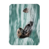 Magnet Flexible Watching Sea Otter (Vertical)