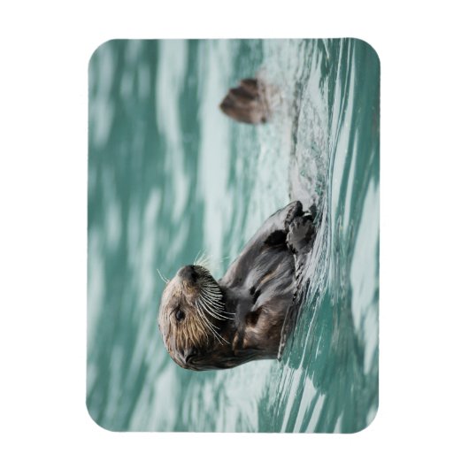 Magnet Flexible Watching Sea Otter (Vertical)