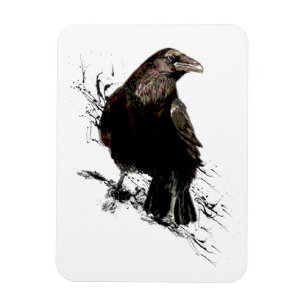 Magnet Flexible Watercolor  Raven Bird  Animal Art