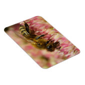 Magnet Flexible Western Honey Bee Macro (Côté Droit)