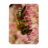 Magnet Flexible Western Honey Bee Macro (Vertical)
