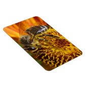 Magnet Flexible Western Honey Bee Macro photo (Côté Droit)