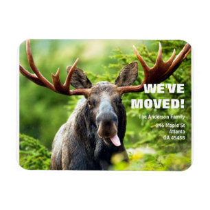 Magnet Flexible We've Moved Colorful Moose Moving Announcement P