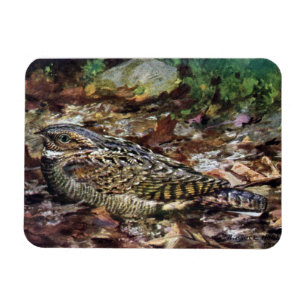 Magnet Flexible Whippoorwill caché