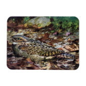 Magnet Flexible Whipporwill caché (Horizontal)