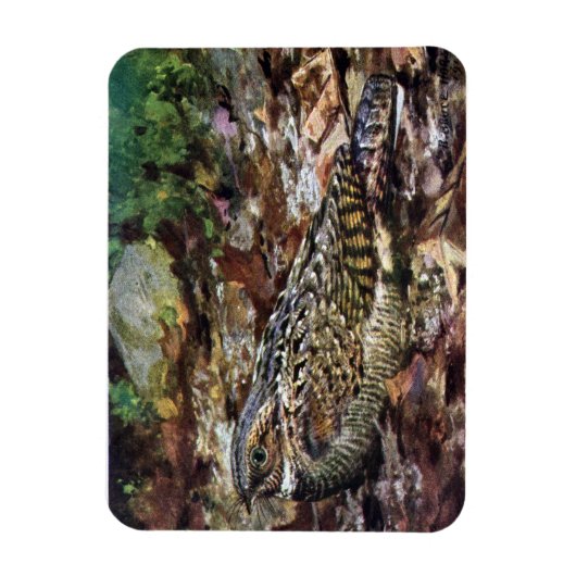 Magnet Flexible Whipporwill caché (Vertical)