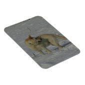 Magnet Flexible White German Shepherd in the Snow (Côté Droit)