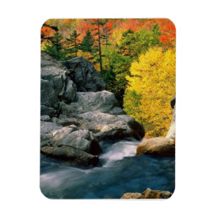 Magnet Flexible White Mountain National Forest, NH