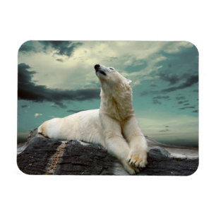 Magnet Flexible White Polar Bear