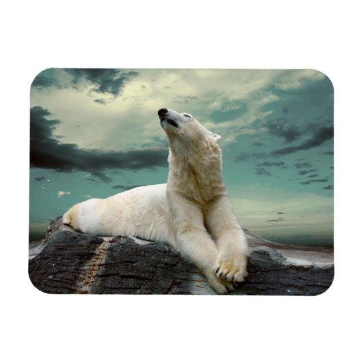 Magnet Flexible White Polar Bear (Horizontal)