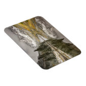 Magnet Flexible White River National Forest Colorado (Côté Droit)