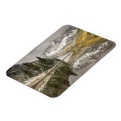 Magnet Flexible White River National Forest Colorado (Côté Gauche)