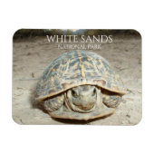 Magnet Flexible White Sands Desert Box Turtle (Horizontal)