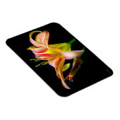 Magnet Flexible Wild Daylily On A Dark Morning Hike (Côté Droit)