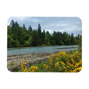 Magnet Flexible Willamette River, Elijah Bristow State Park